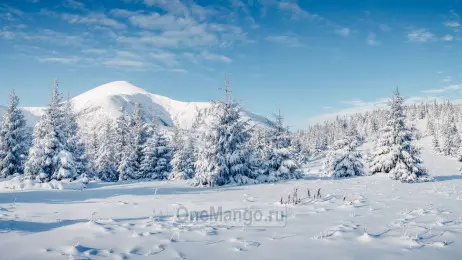Новогодний занавес 036