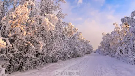 Новогодний занавес 040