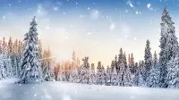 Новогодний занавес 041