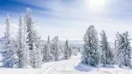 Новогодний занавес 043