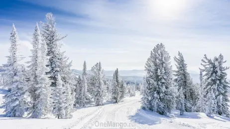 Новогодний занавес 043