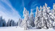 Новогодний занавес 044
