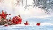 Новогодний занавес 045