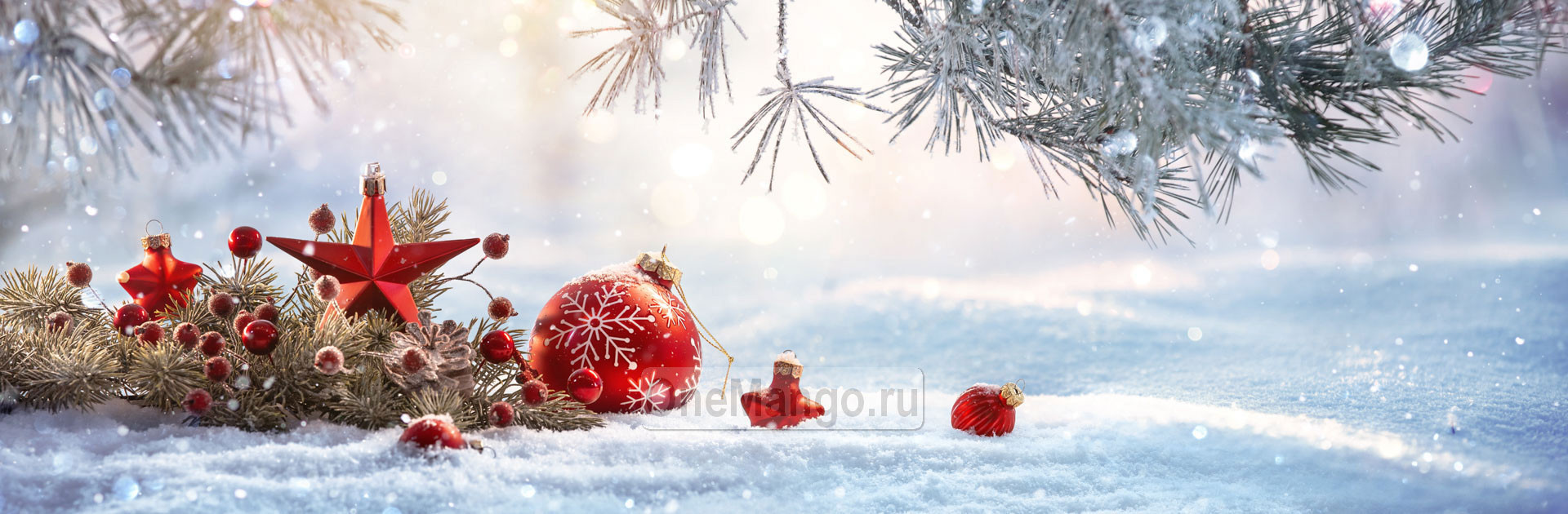 Новогодний занавес 045