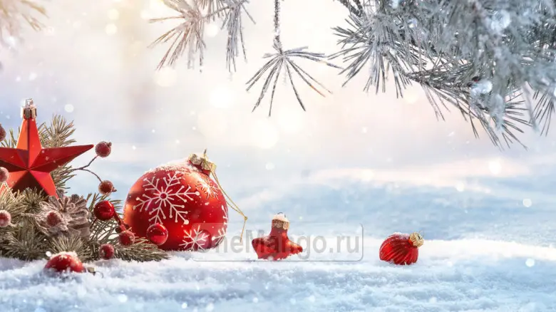 Новогодний занавес 045