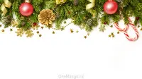 Новогодний занавес 049