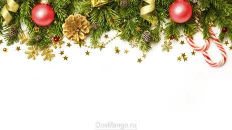 Новогодний занавес 049
