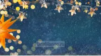 Новогодний занавес 054