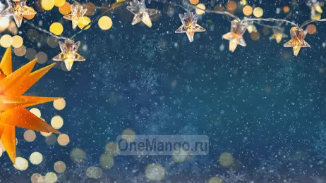 Новогодний занавес 054