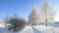 Новогодний занавес 055
