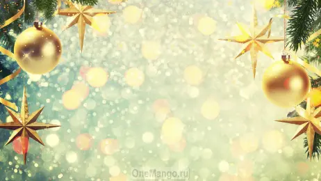 Новогодний занавес 065
