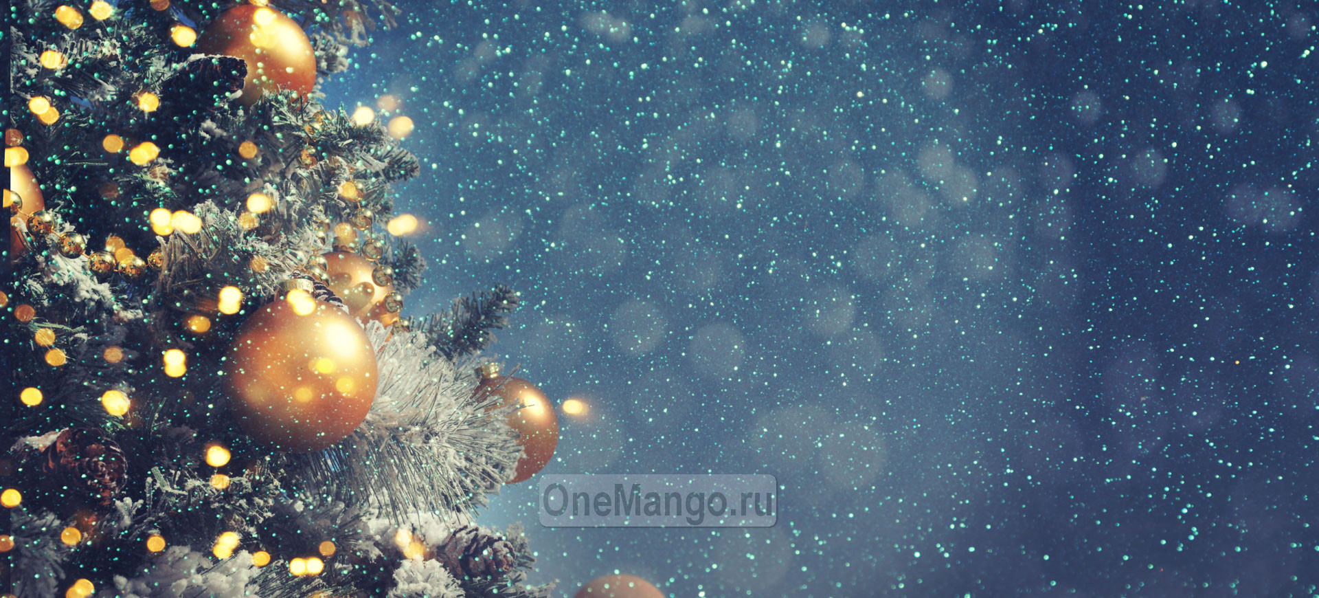 Новогодний занавес 066