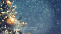 Новогодний занавес 066