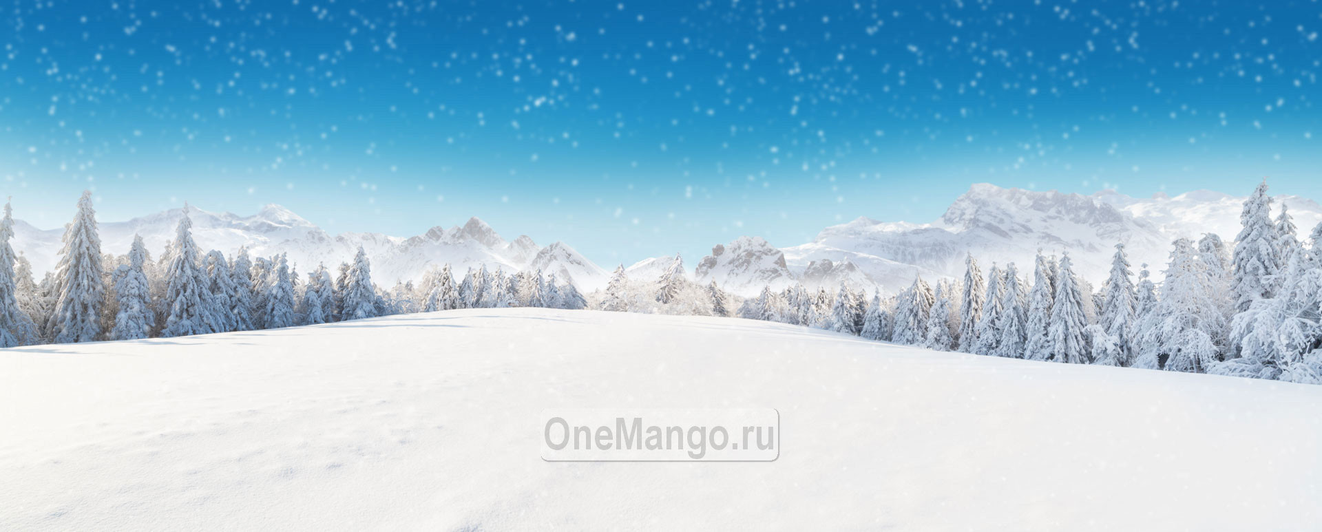 Новогодний занавес 071