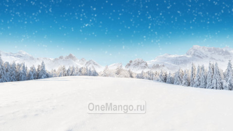 Новогодний занавес 071