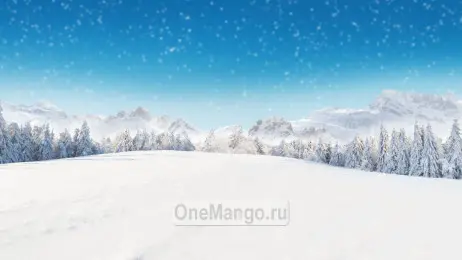 Новогодний занавес 071