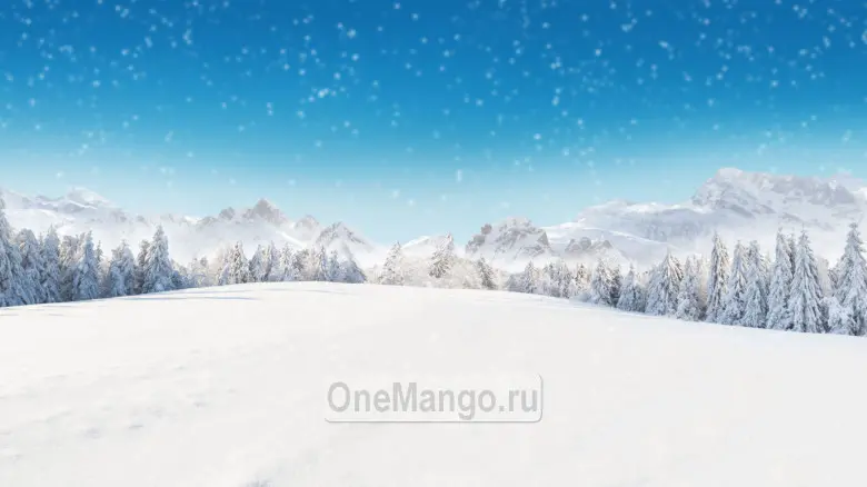 Новогодний занавес 071