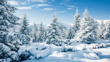 Новогодний занавес 079