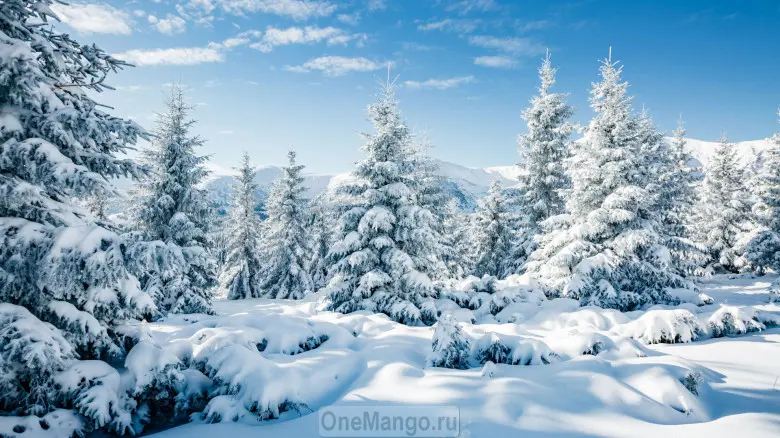 Новогодний занавес 079