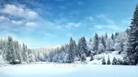 Новогодний занавес 084