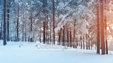 Новогодний занавес 087