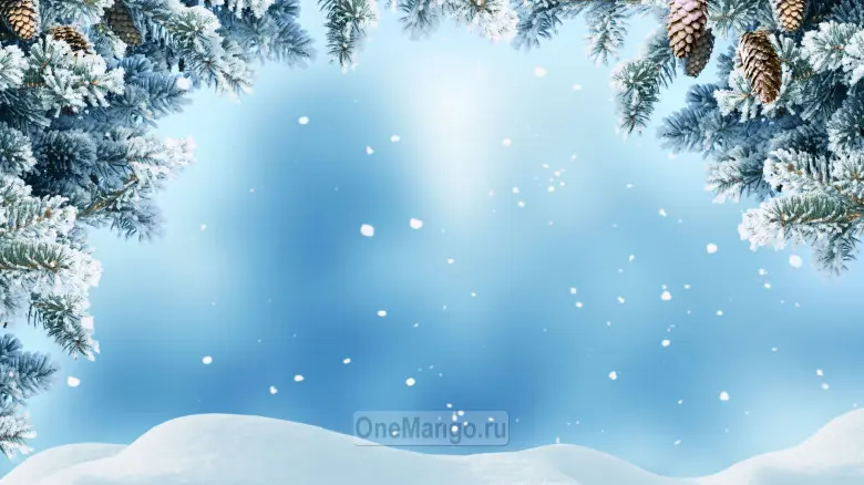 Новогодний занавес 089