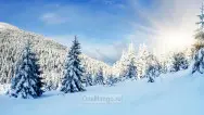 Новогодний занавес 091
