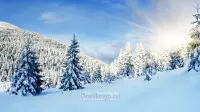 Новогодний занавес 091