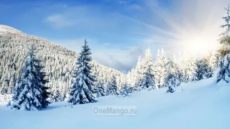 Новогодний занавес 091