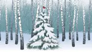 Новогодний занавес 096