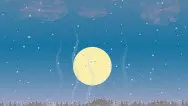 Новогодний занавес 098