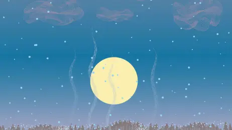 Новогодний занавес 098