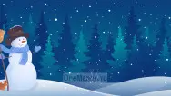 Новогодний занавес 120