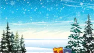Новогодний занавес 124