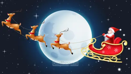 Новогодний занавес 185