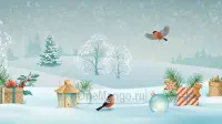 Новогодний занавес 211