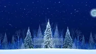 Новогодний занавес 214