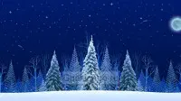 Новогодний занавес 214