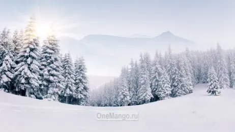 Новогодний занавес 237