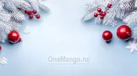 Новогодний занавес 242