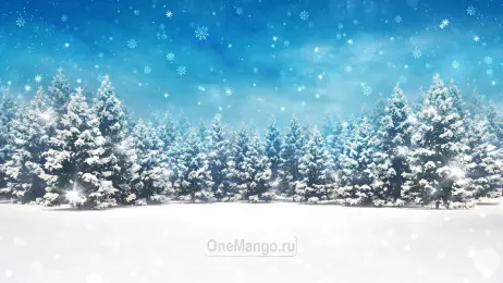 Новогодний занавес 247