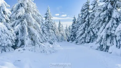 Новогодний занавес 250