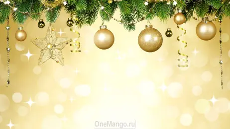 Новогодний занавес 251