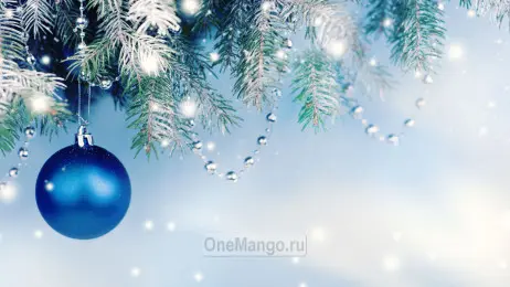 Новогодний занавес 258