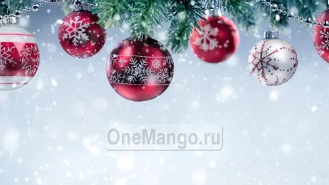 Новогодний занавес 263
