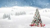 Новогодний занавес 264