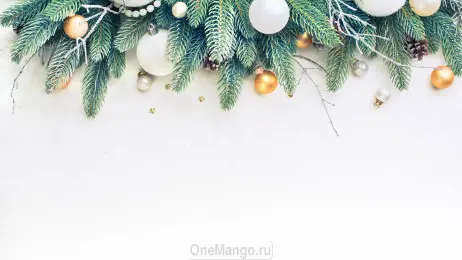 Новогодний занавес 279