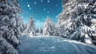 Новогодний занавес 280