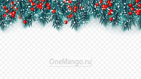 Новогодний занавес 296
