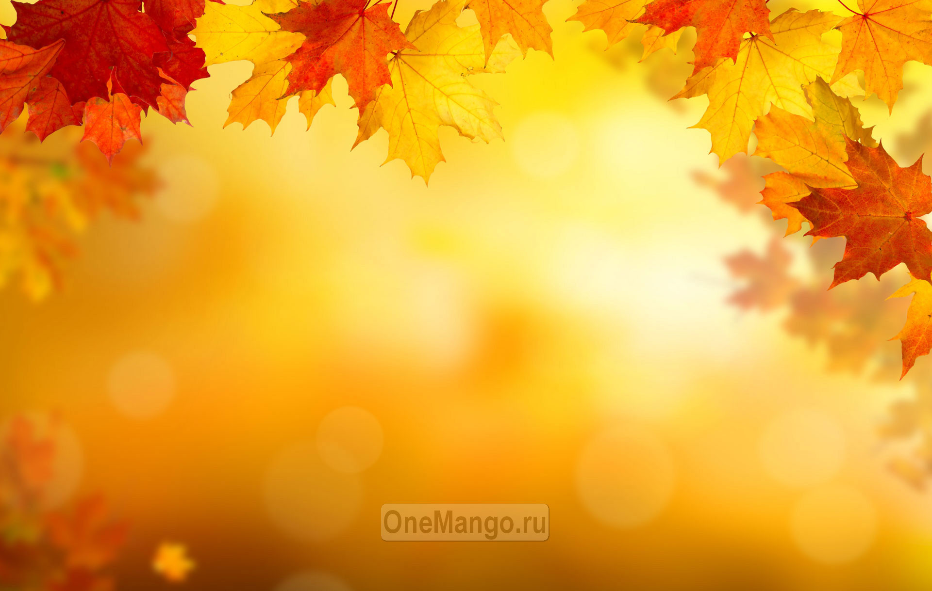 Осенний занавес 001